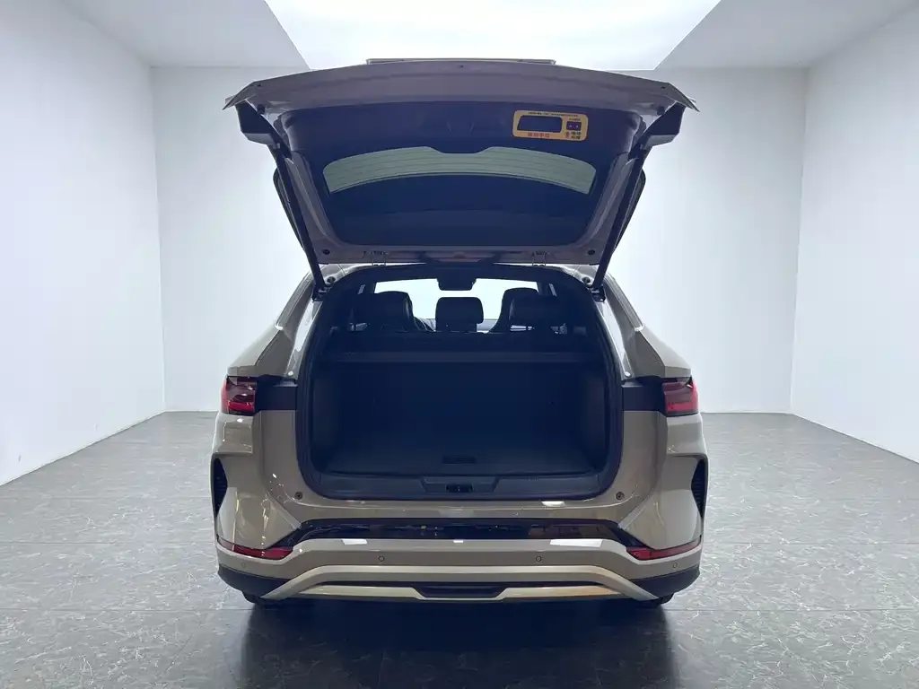BYD PLUS New Energy 2024 из CN, фото 9