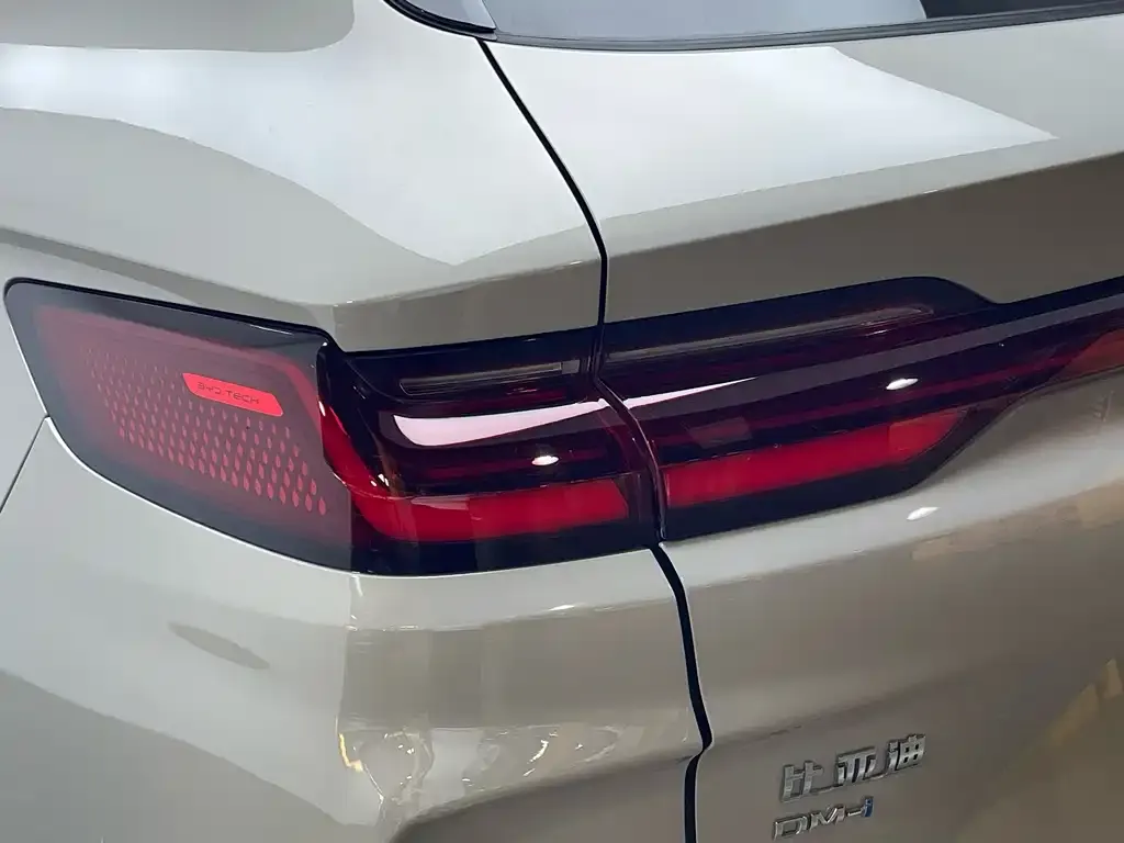 BYD PLUS New Energy 2024 из CN, фото 7
