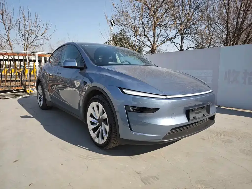 Tesla Model Y 2025 из CN, фото 4