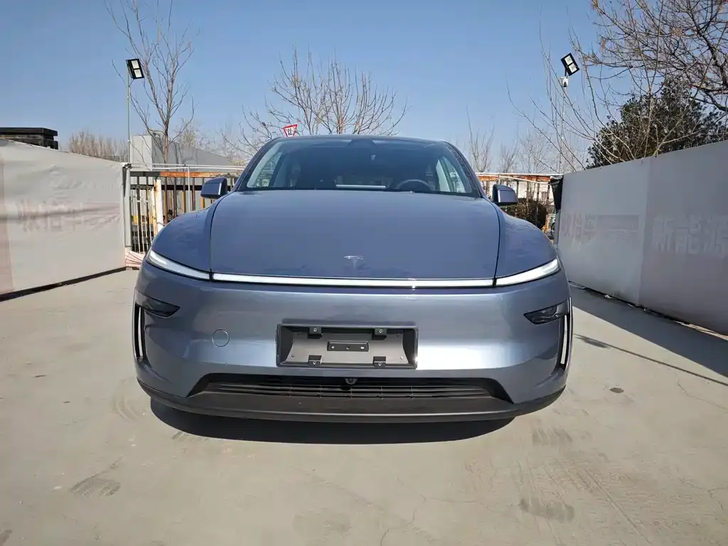 Tesla Model Y 2025 из CN, фото 3