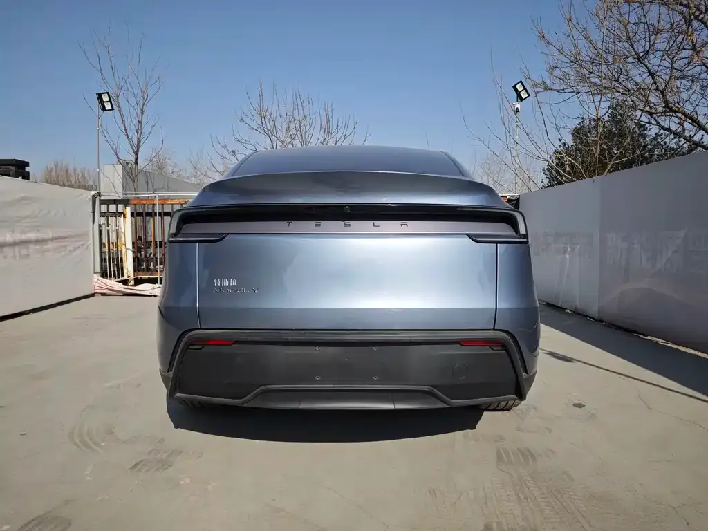 Tesla Model Y 2025 из CN, фото 7