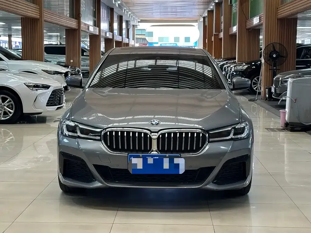 BMW 5 Series (Import) 2023 из CN, фото 9