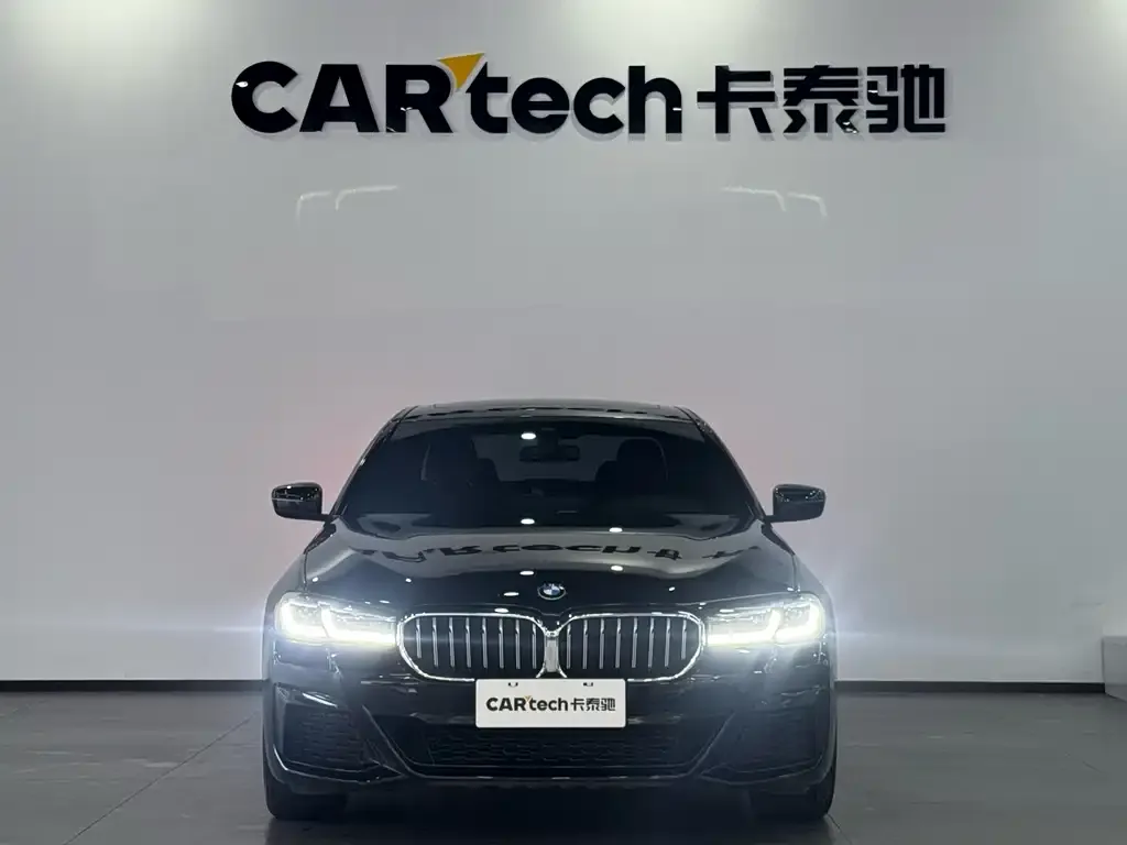 BMW 5 Series 2021 из CN, фото 6