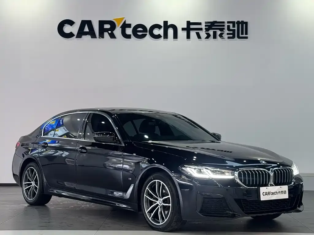 BMW 5 Series 2021 из CN, фото 8
