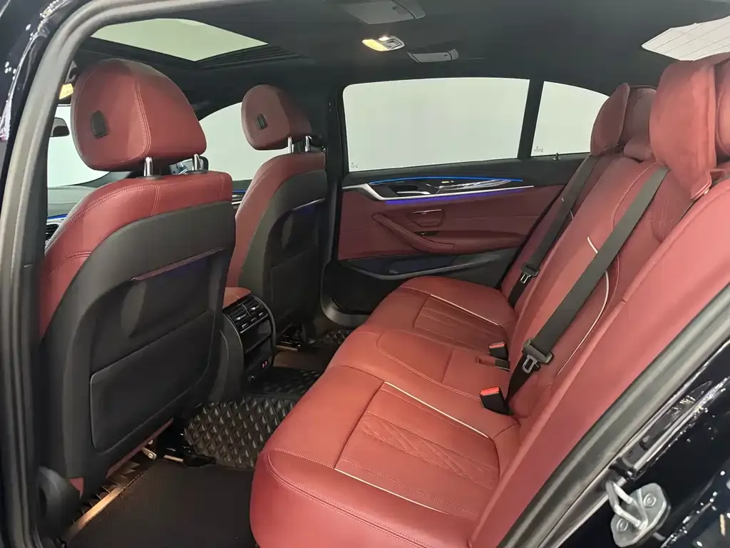BMW 5 Series 2021 из CN, фото 9