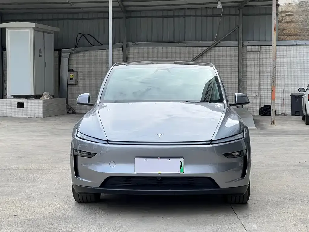 Tesla Model Y 2025 из CN, фото 9
