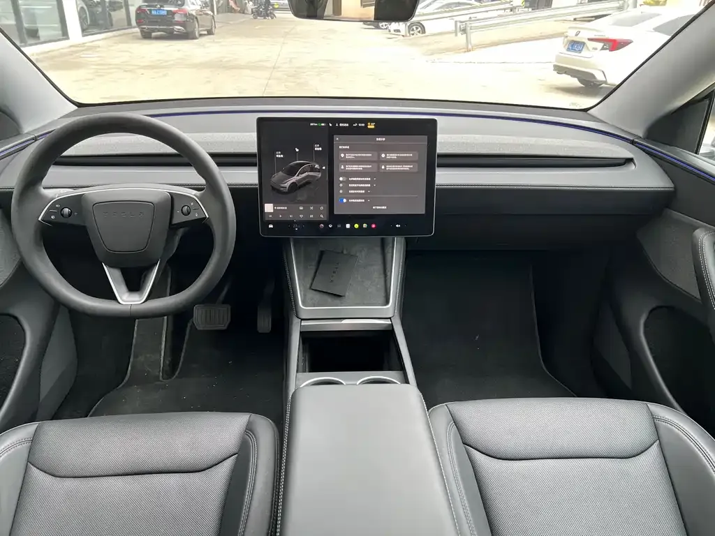 Tesla Model Y 2025 из CN, фото 4