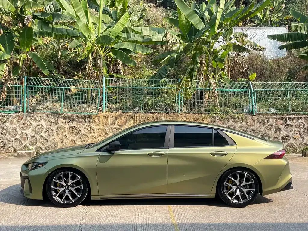 GAC Motor Shadow Leopard 2021 из CN, фото 6