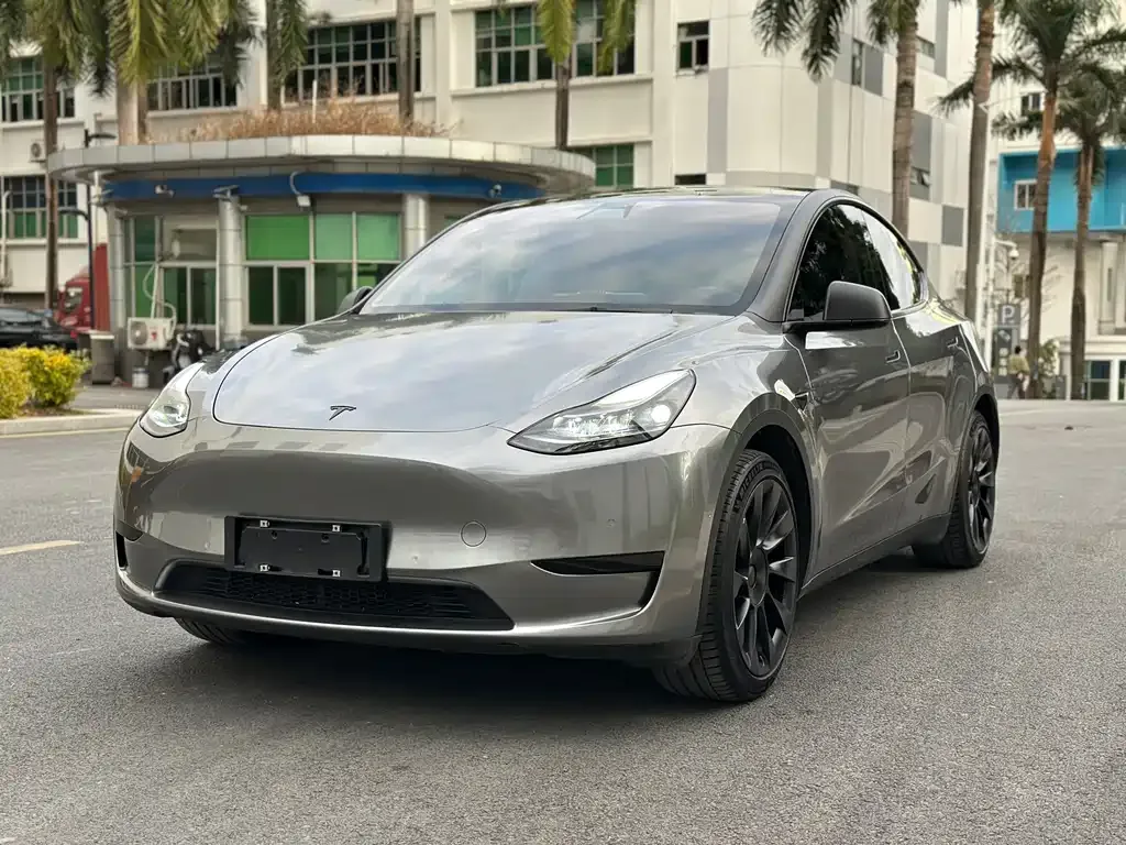 Tesla Model Y — фото 1