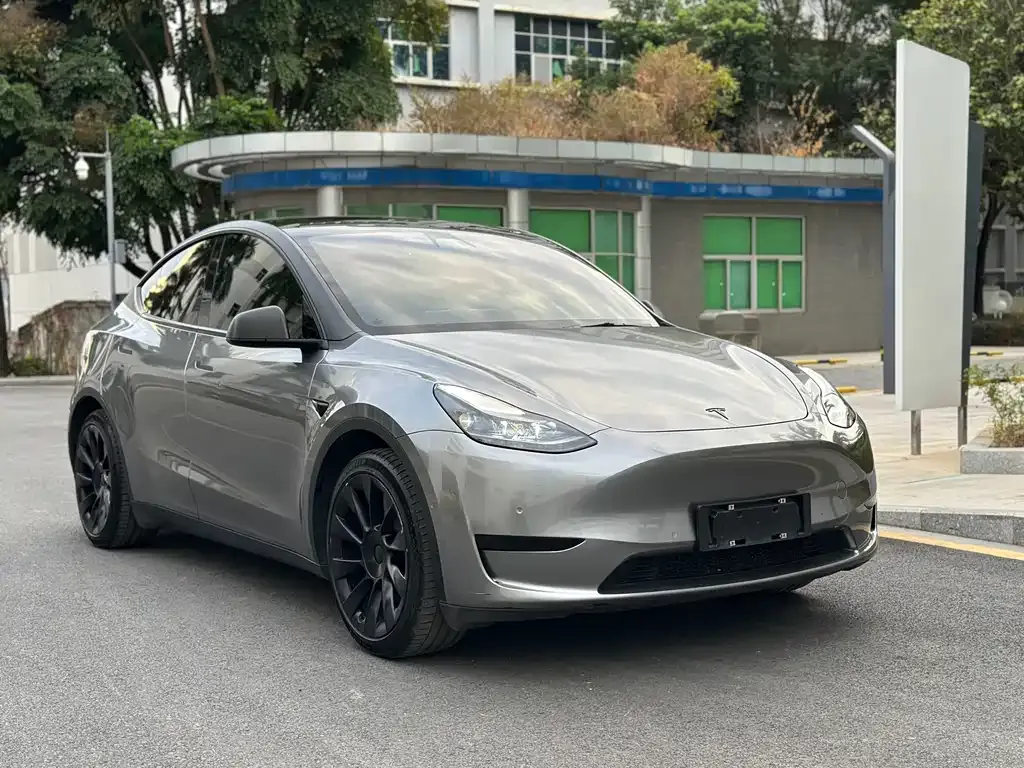 Tesla Model Y — фото 2