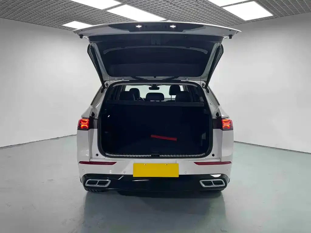 Volkswagen Tavendor 2022 из CN, фото 7