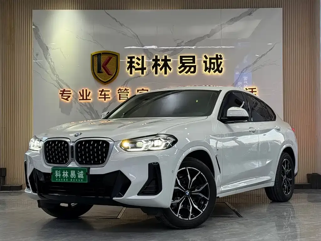 BMW X4 2023 из CN, фото 1