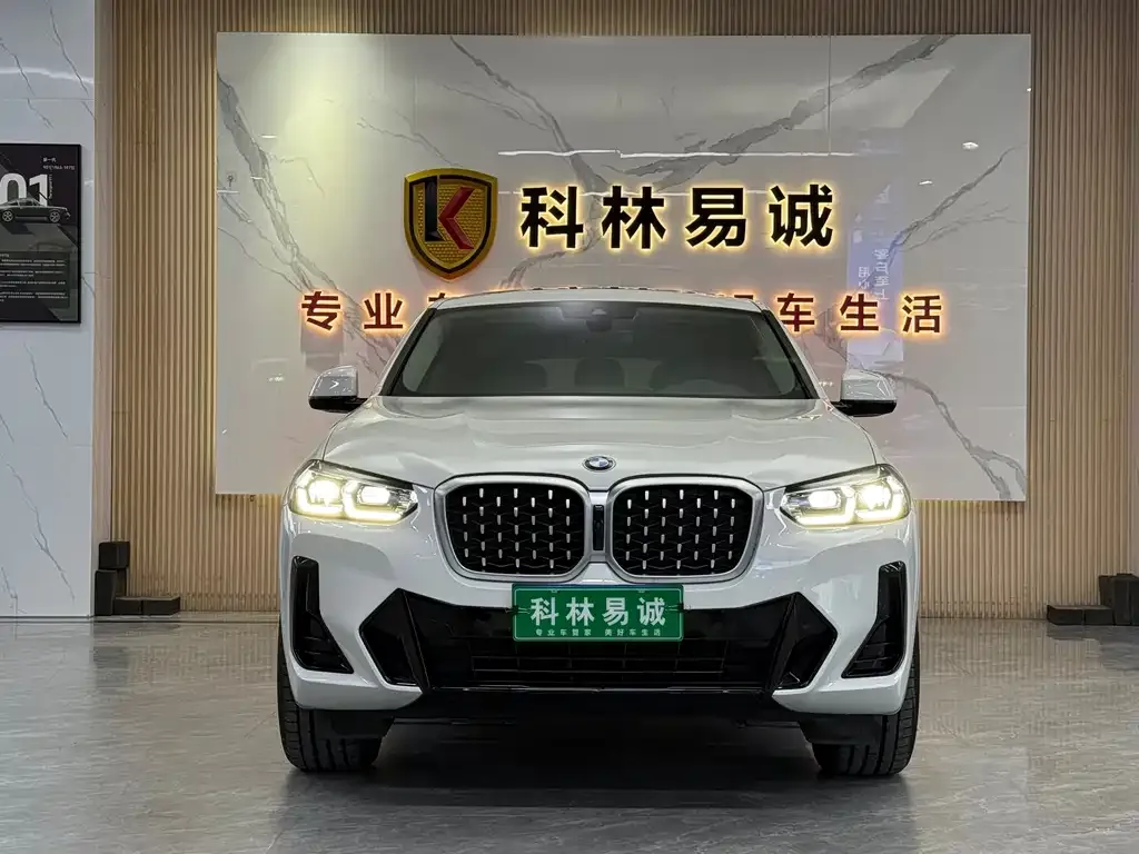 BMW X4 2023 из CN, фото 6