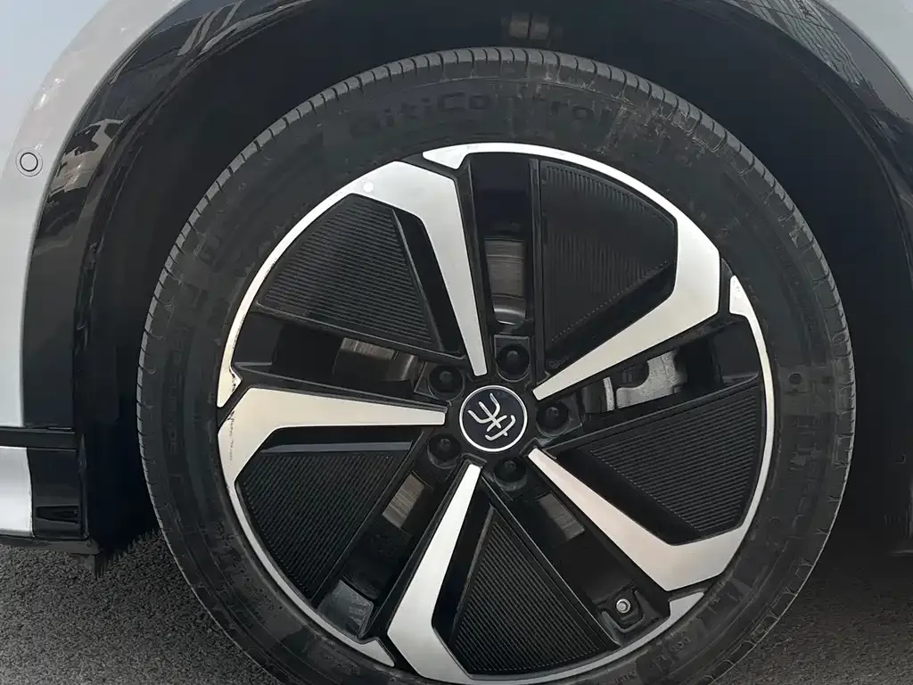 BYD L EV 2025 из CN, фото 6