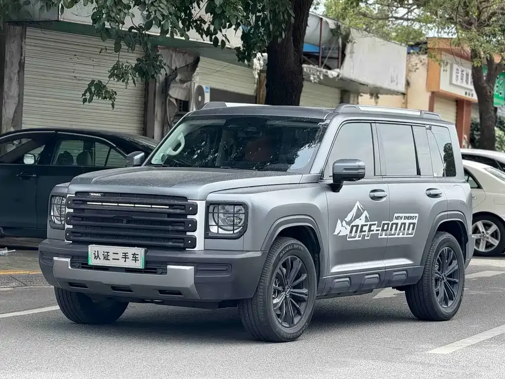 Haval Menglong New Energy 2024 из CN, фото 1