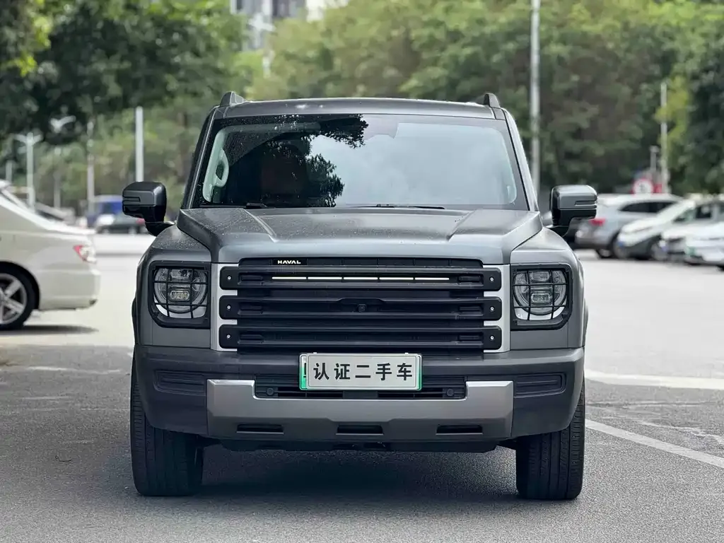 Haval Menglong New Energy 2024 из CN, фото 3