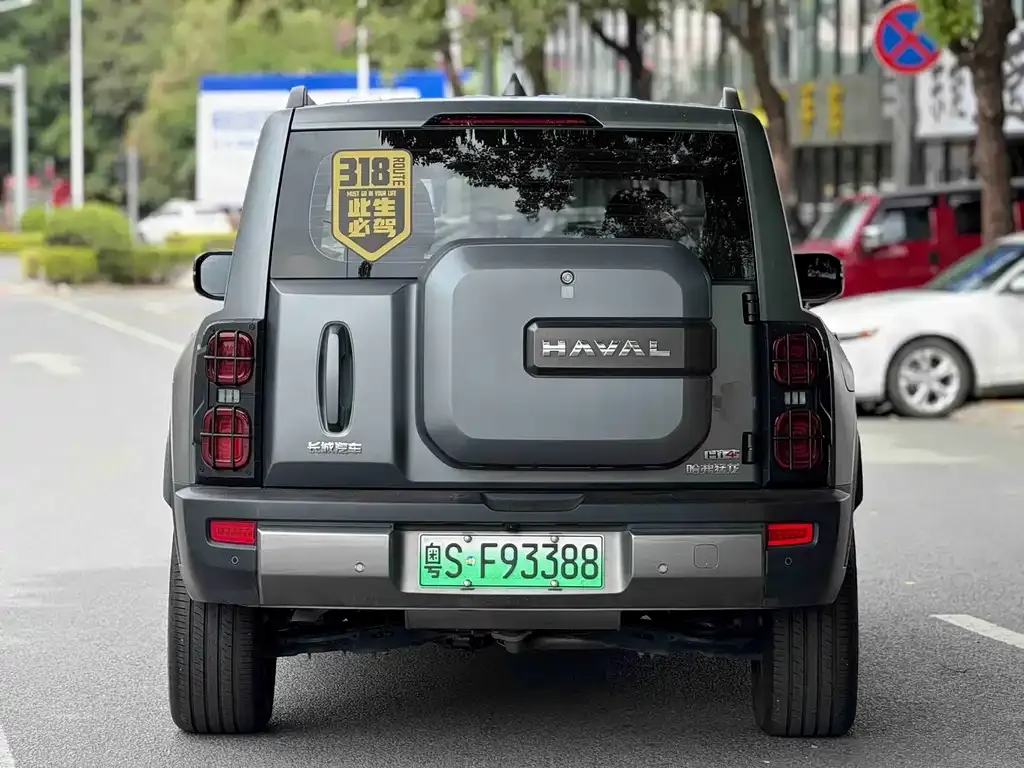 Haval Menglong New Energy 2024 из CN, фото 7