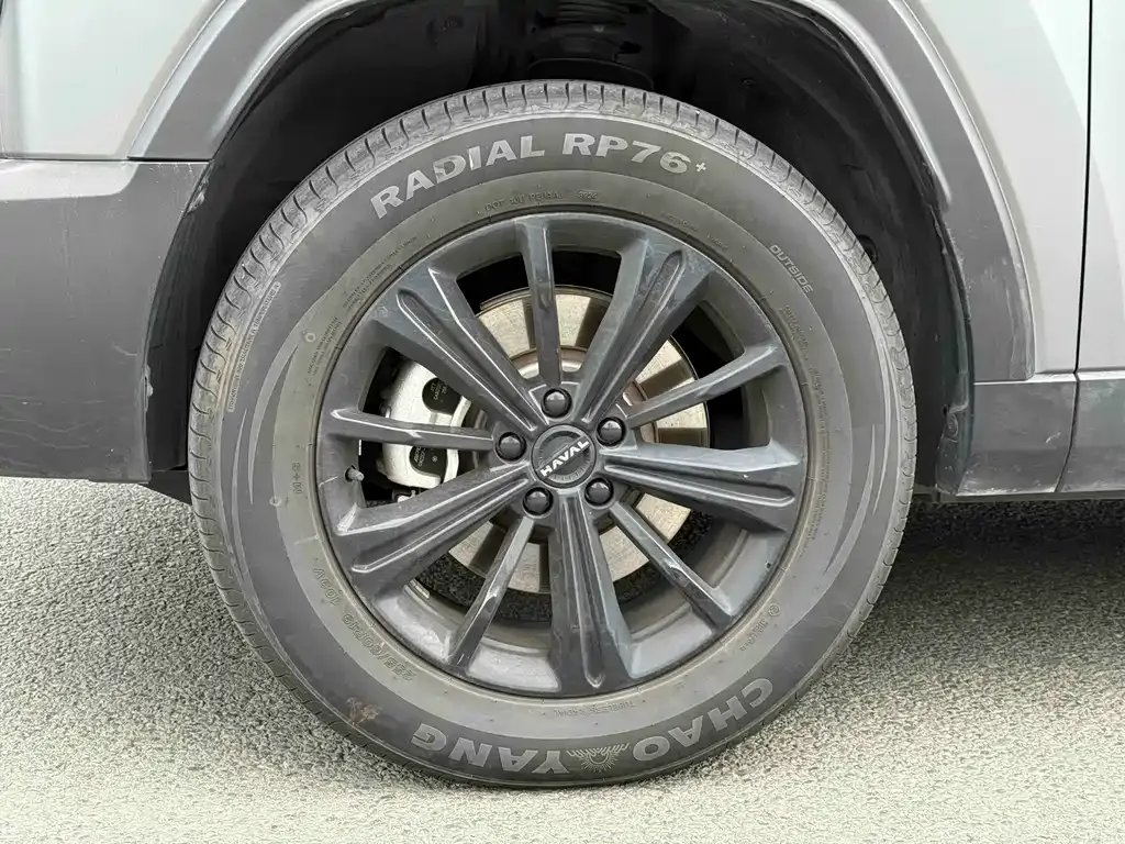 Haval Menglong New Energy 2024 из CN, фото 5