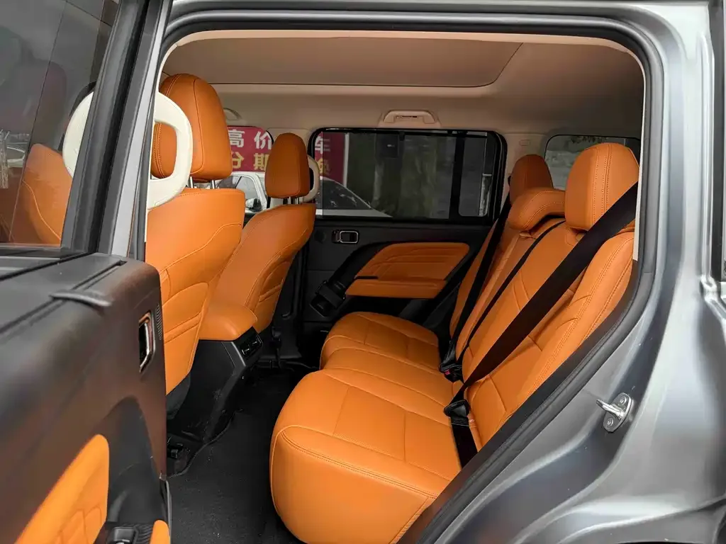 Haval Menglong New Energy 2024 из CN, фото 2