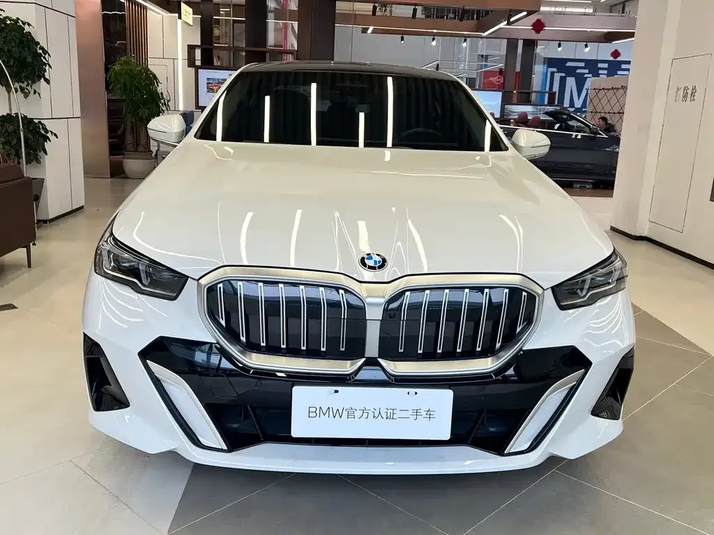 BMW 5 Series 2024 из CN, фото 4