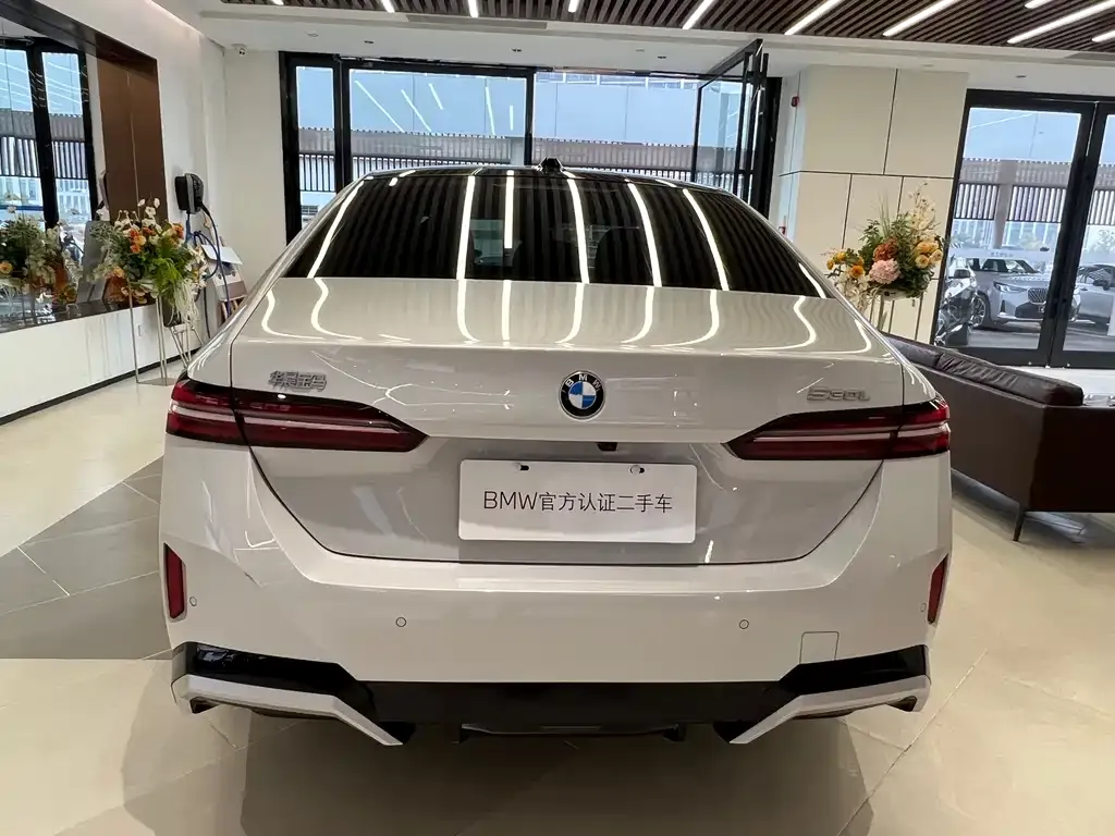 BMW 5 Series 2024 из CN, фото 10