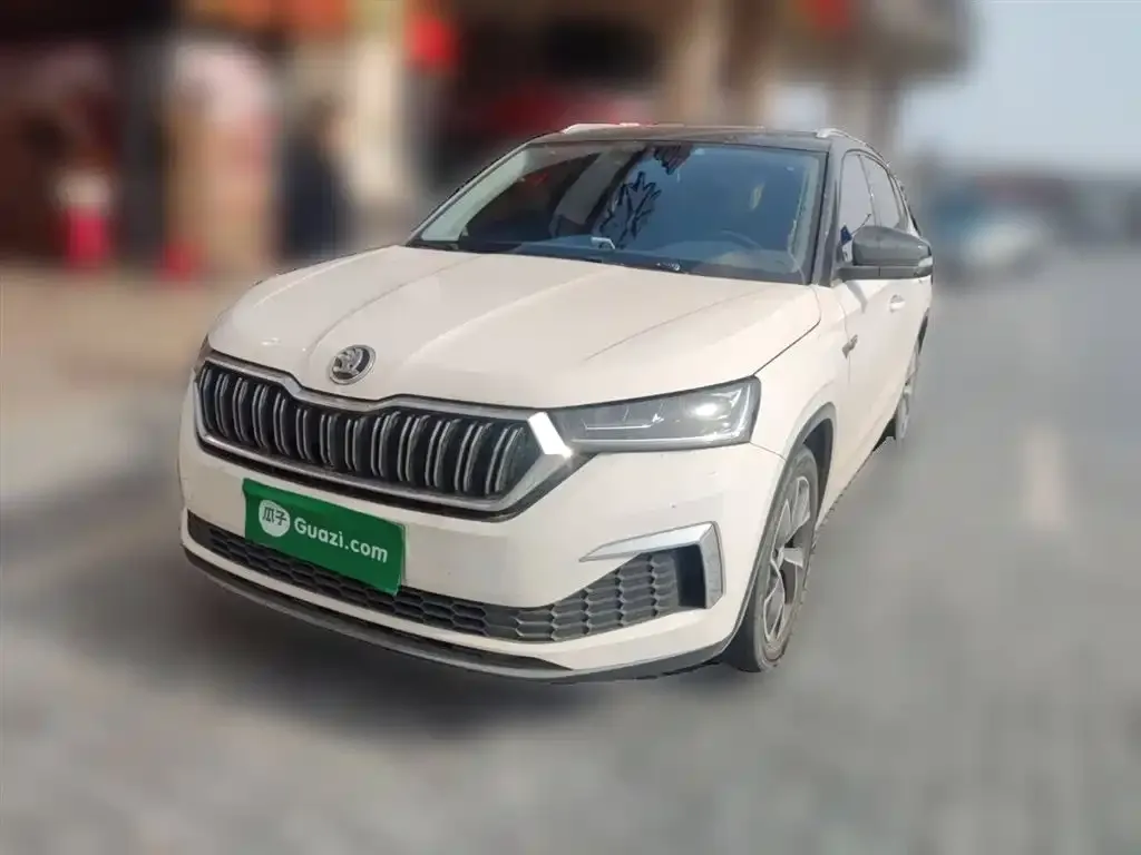Skoda Kamiq 2023 из CN, фото 1