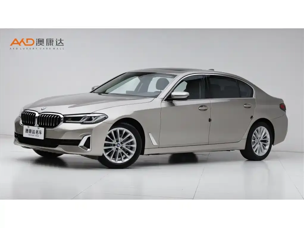 BMW 5 Series 2021 из CN, фото 1