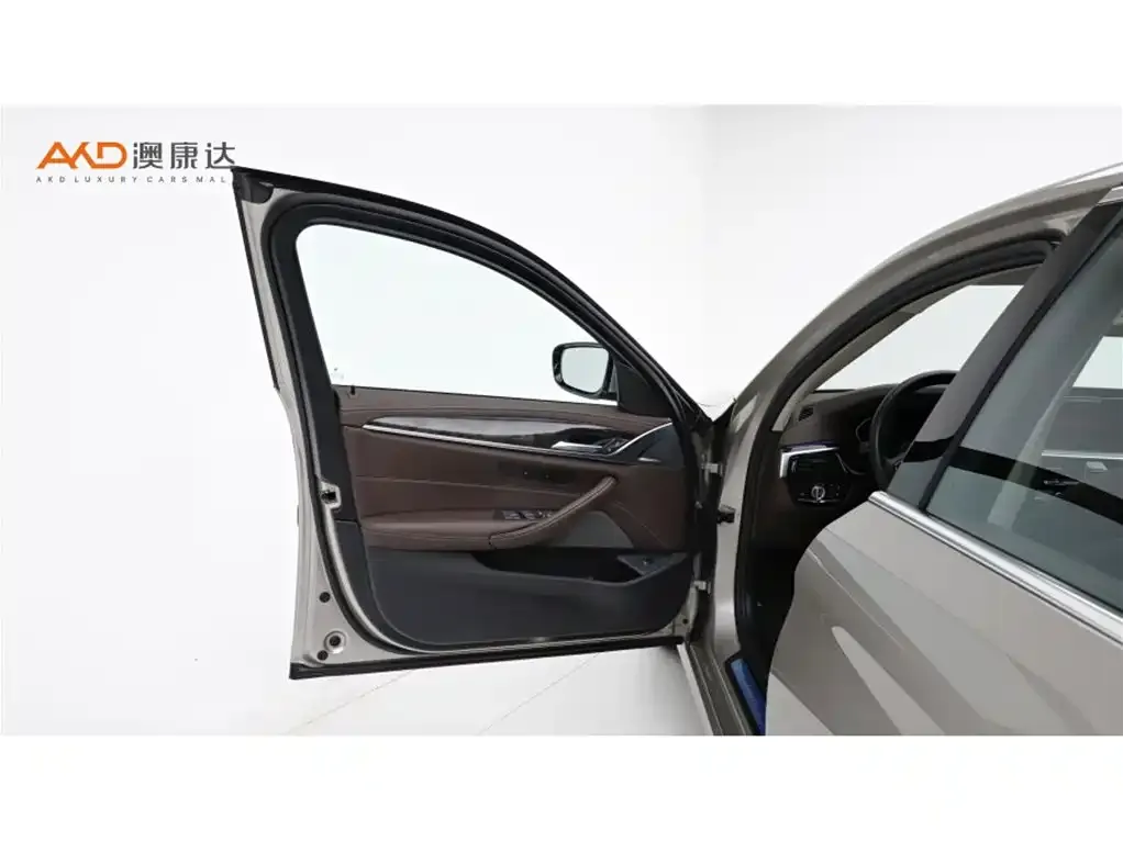 BMW 5 Series 2021 из CN, фото 4