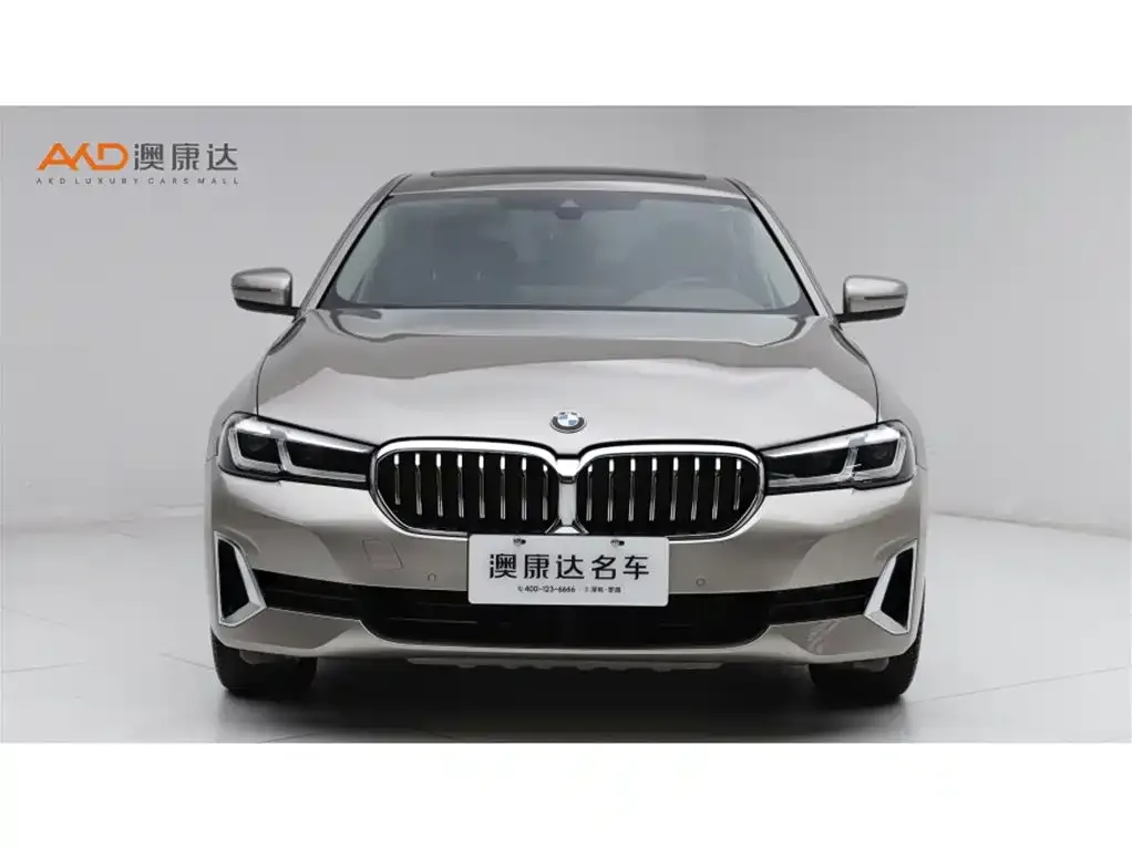 BMW 5 Series 2021 из CN, фото 9