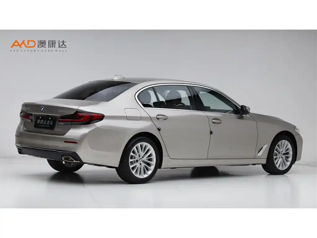BMW 5 Series 2021 из CN, фото 3