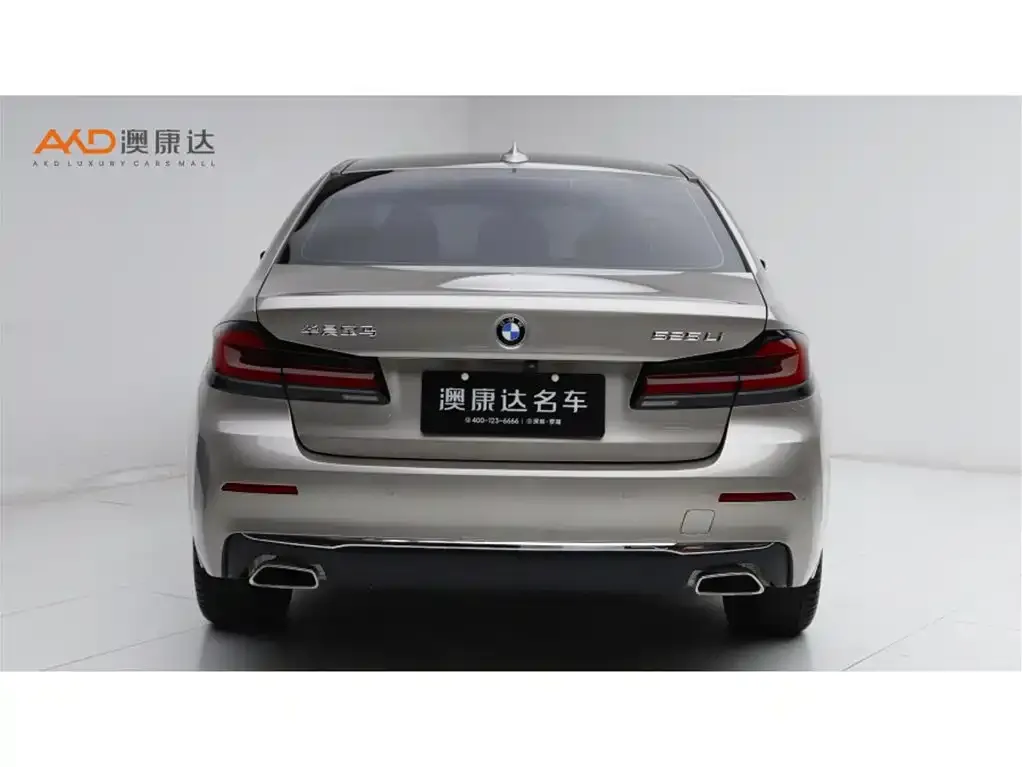 BMW 5 Series 2021 из CN, фото 7