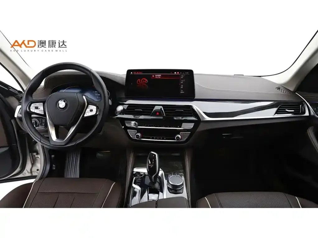 BMW 5 Series 2021 из CN, фото 6