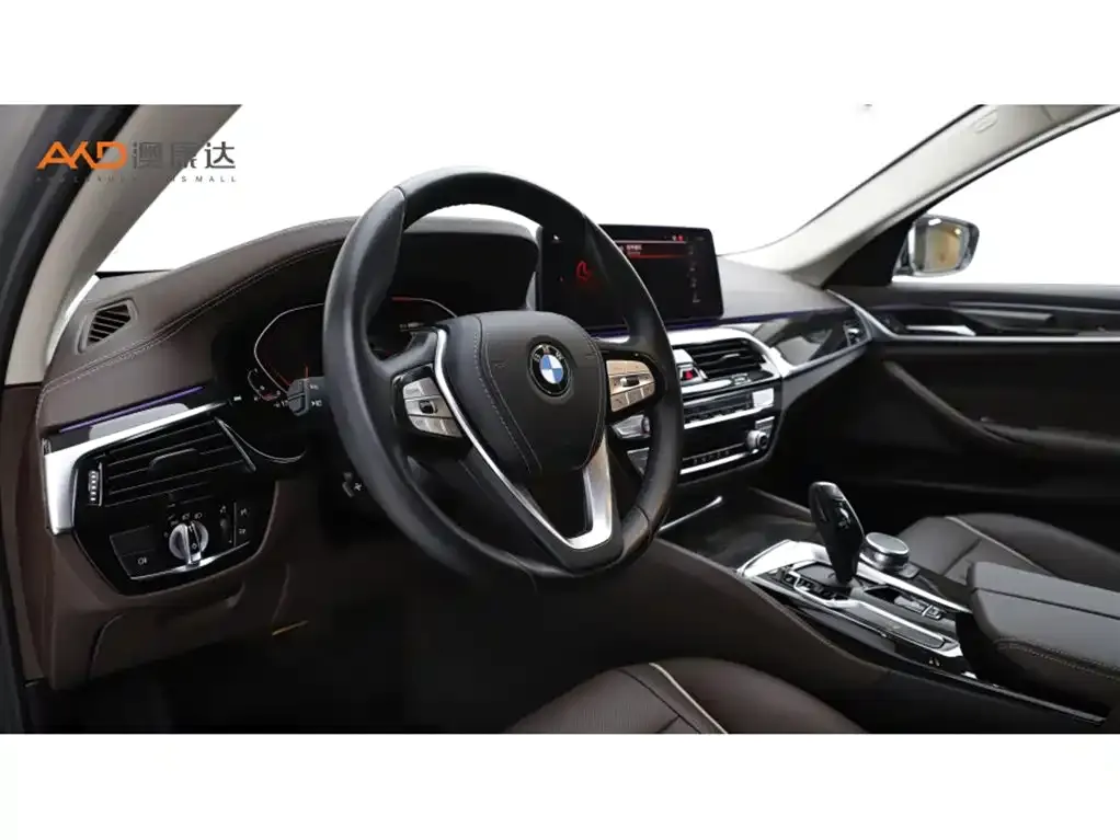 BMW 5 Series 2021 из CN, фото 2
