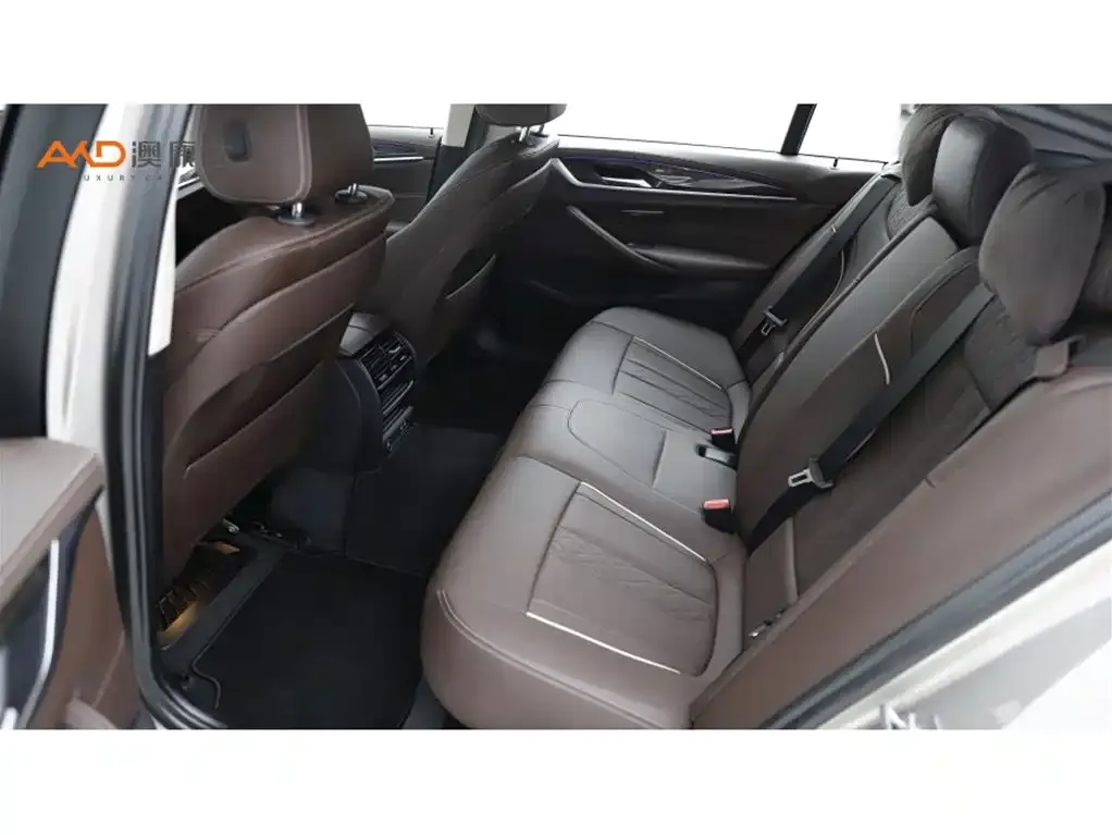 BMW 5 Series 2021 из CN, фото 8