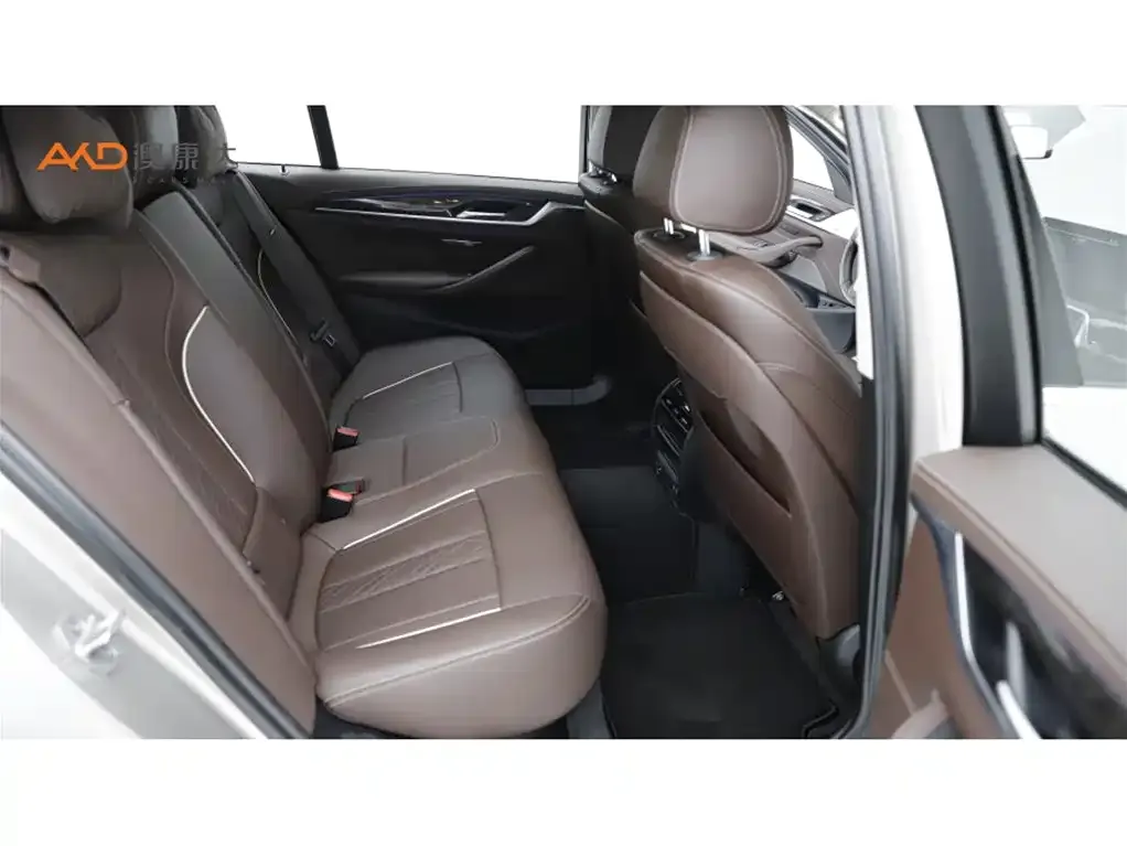 BMW 5 Series 2021 из CN, фото 10