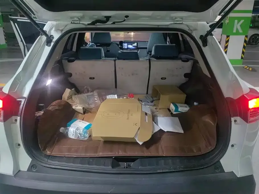 Toyota Frontlander 2024 из CN, фото 8