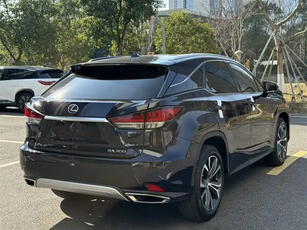 Lexus RX 2022 из CN, фото 9
