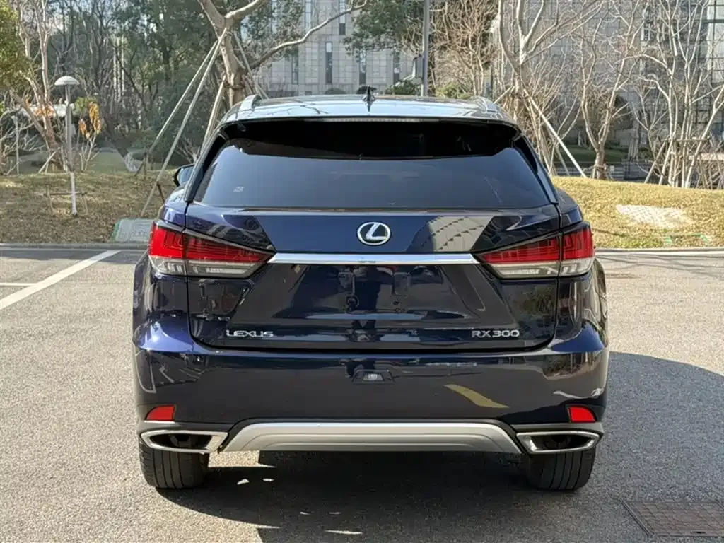 Lexus RX 2022 из CN, фото 6