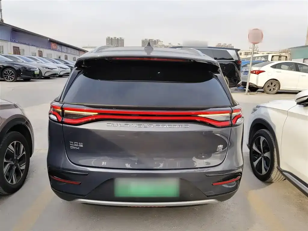 BYD Tang New Energy 2023 из CN, фото 6