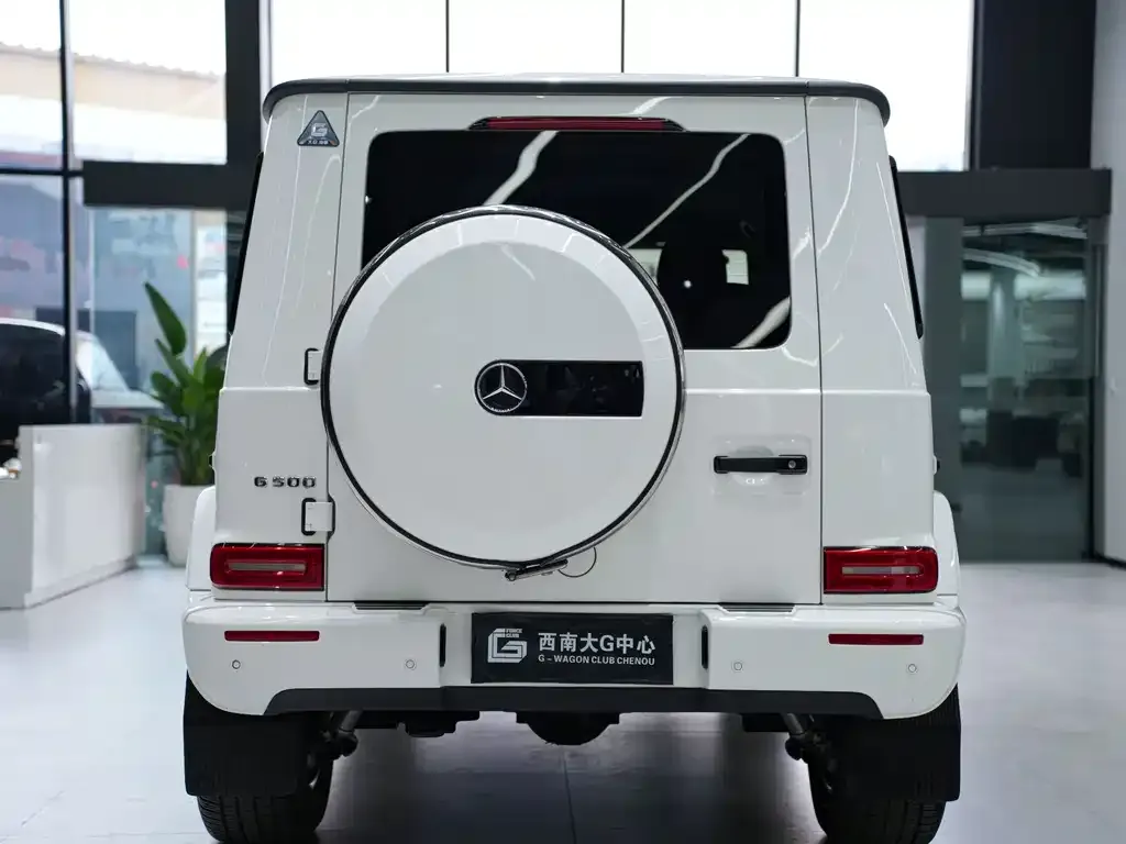 Mercedes-Benz G-Class 2021 из CN, фото 5