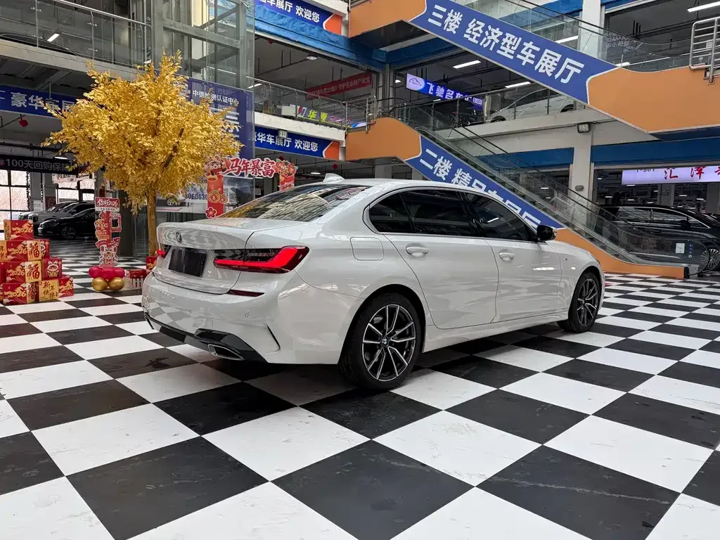 BMW 3 Series 2022 из CN, фото 5