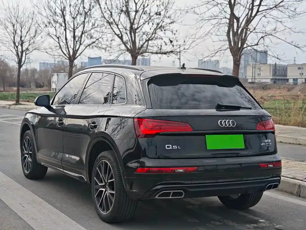 Audi Q5L 2024 из CN, фото 6