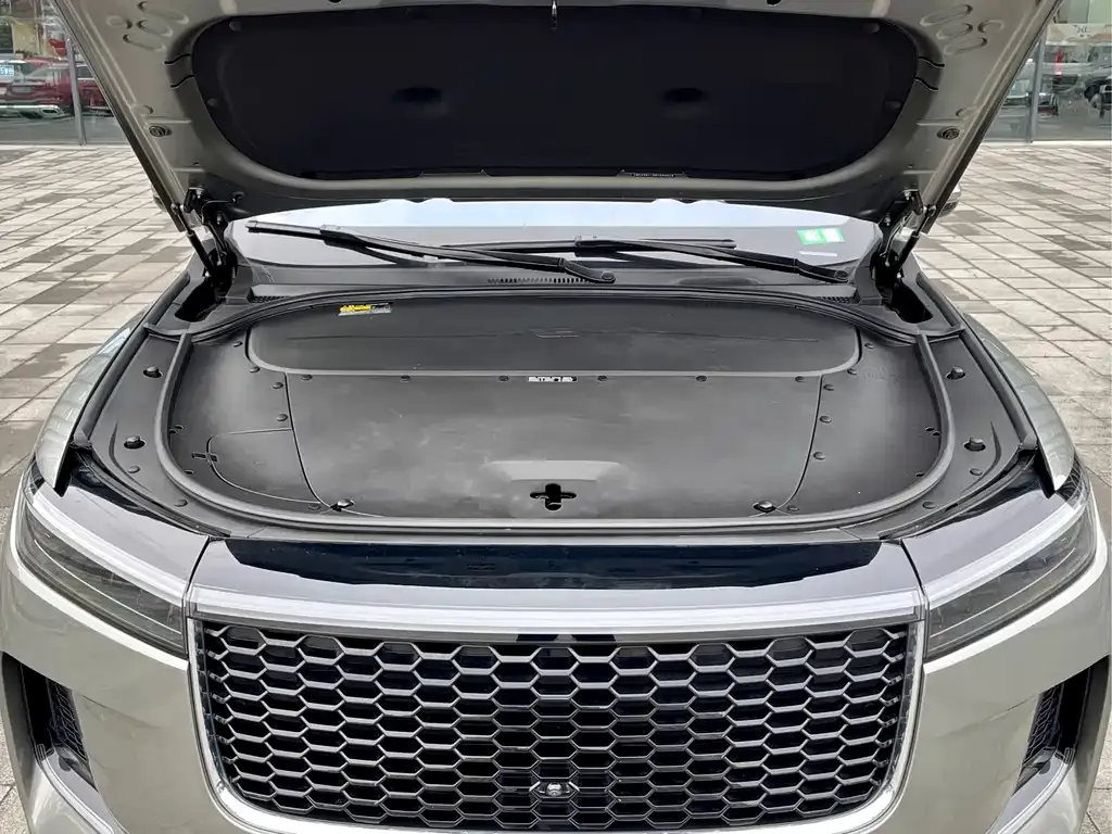 Li Auto ONE 2021 из CN, фото 10