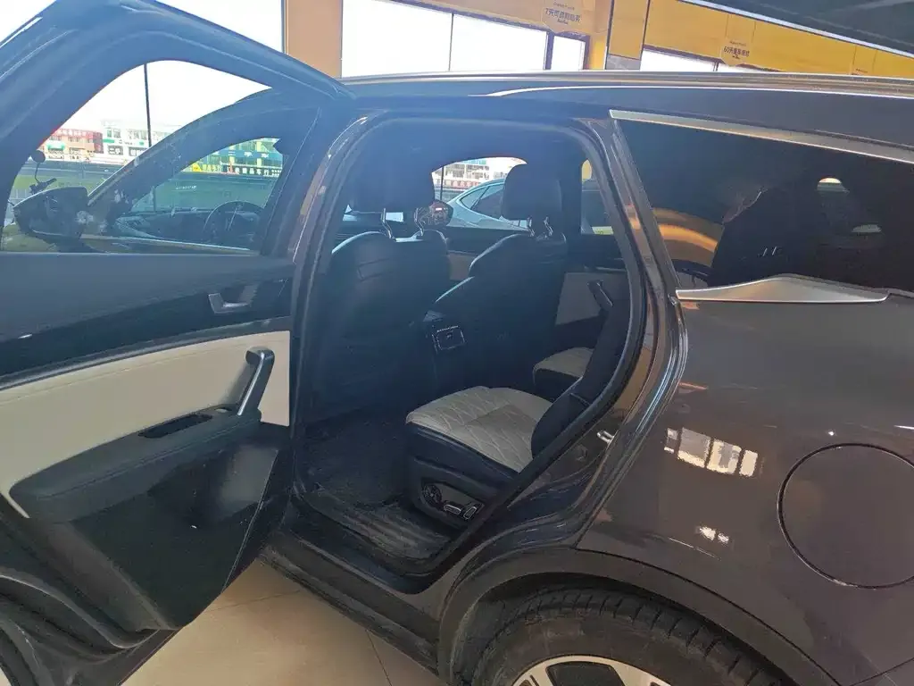 BYD Tang New Energy 2023 из CN, фото 4