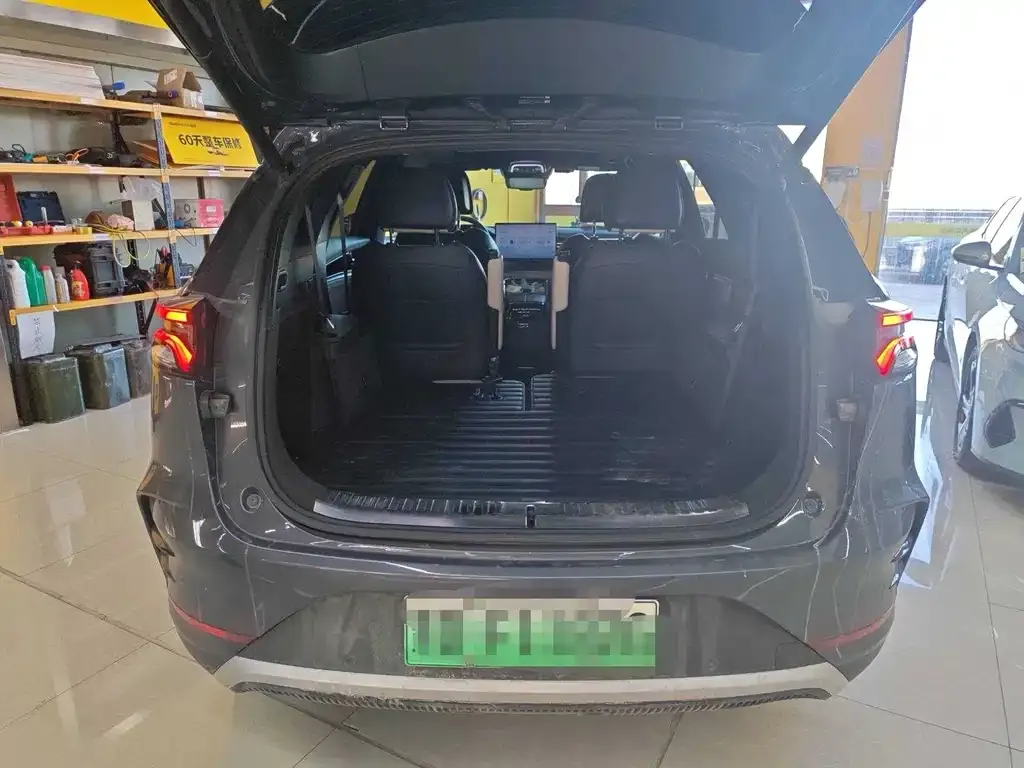 BYD Tang New Energy 2023 из CN, фото 8