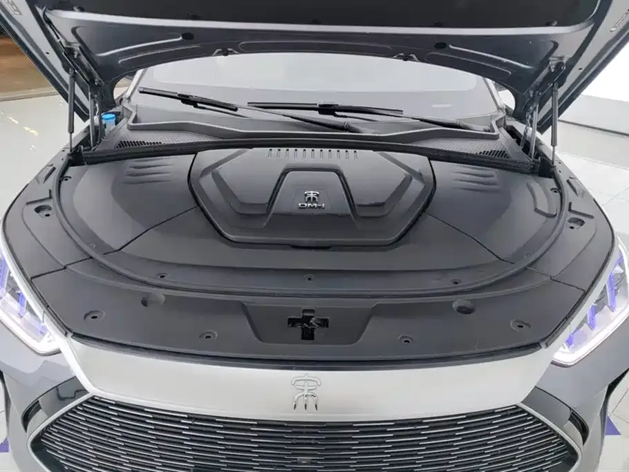 BYD PLUS New Energy 2022 из CN, фото 8