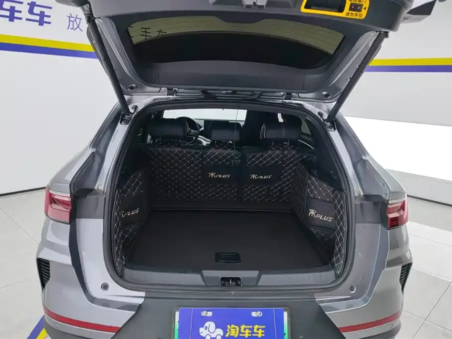 BYD PLUS New Energy 2022 из CN, фото 5