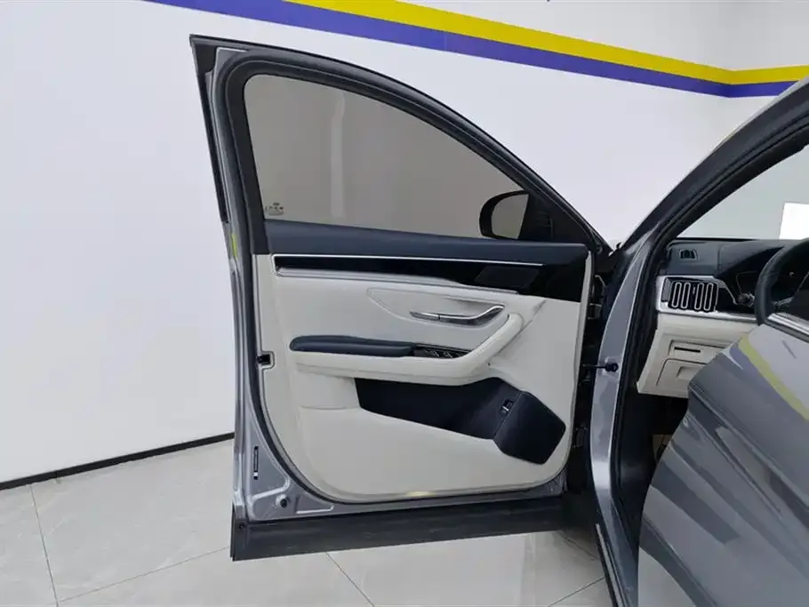 BYD PLUS New Energy 2022 из CN, фото 7