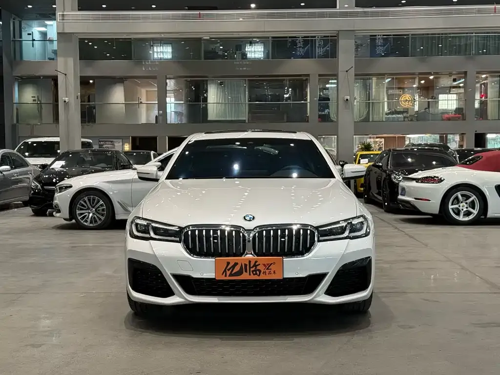 BMW 5 Series 2023 из CN, фото 2