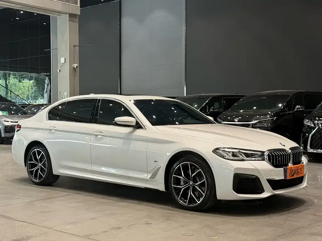 BMW 5 Series 2023 из CN, фото 8
